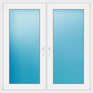 Double window